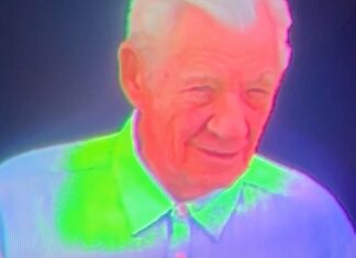 МакКеллен Ведет Зрителей в Новую Реальность Спектаклем «Ковчег»