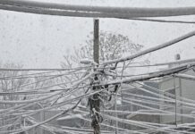 Відкладені відключення: чому відключення електроенергії, пов’язані зі штормом, можуть досягати піку після припинення снігопаду