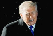 Нарастающая Атака Трампа на Выборы в США: Надвигающаяся Угроза Промежуточным Выборам