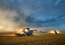 Американські Фермери Зіткнулися з Кризою Добрив на Фоні Ескалації Конфлікту в Ірані