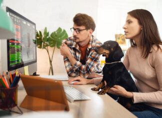 10 veelvoorkomende beleggingstypen voor het opbouwen van rijkdom