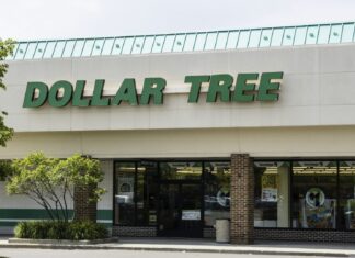 Shopping intelligent chez Dollar Tree : des trouvailles de grande valeur pour les retraités à revenu fixe