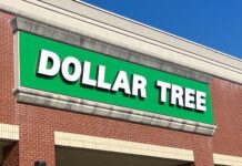 Розумний весняний шопінг: 7 знахідок у Dollar Tree, які допоможуть заощадити цього сезону