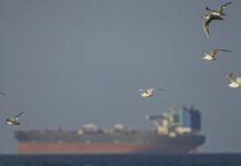 Підроблені танкери затоплюють Ормузьку протоку. Ці аналітики стежать за ними