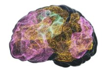 Пересечение биологии и технологий: от имплантатов мозга до ИИ в медицине