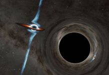 Dix titres scientifiques étranges qui comptent vraiment