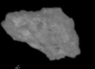 El cielo se está cayendo. Además, son hongos. Y asteroides.